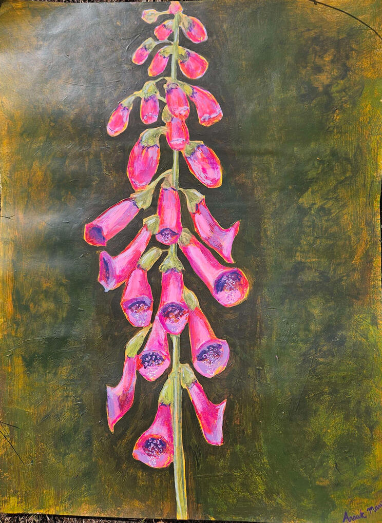 Untitled Untitled